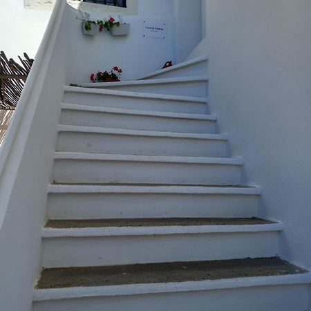 Casa Da Umbria Bed & Breakfast Odemira Bagian luar foto