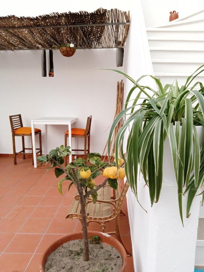 Casa Da Umbria Bed & Breakfast Odemira Bagian luar foto